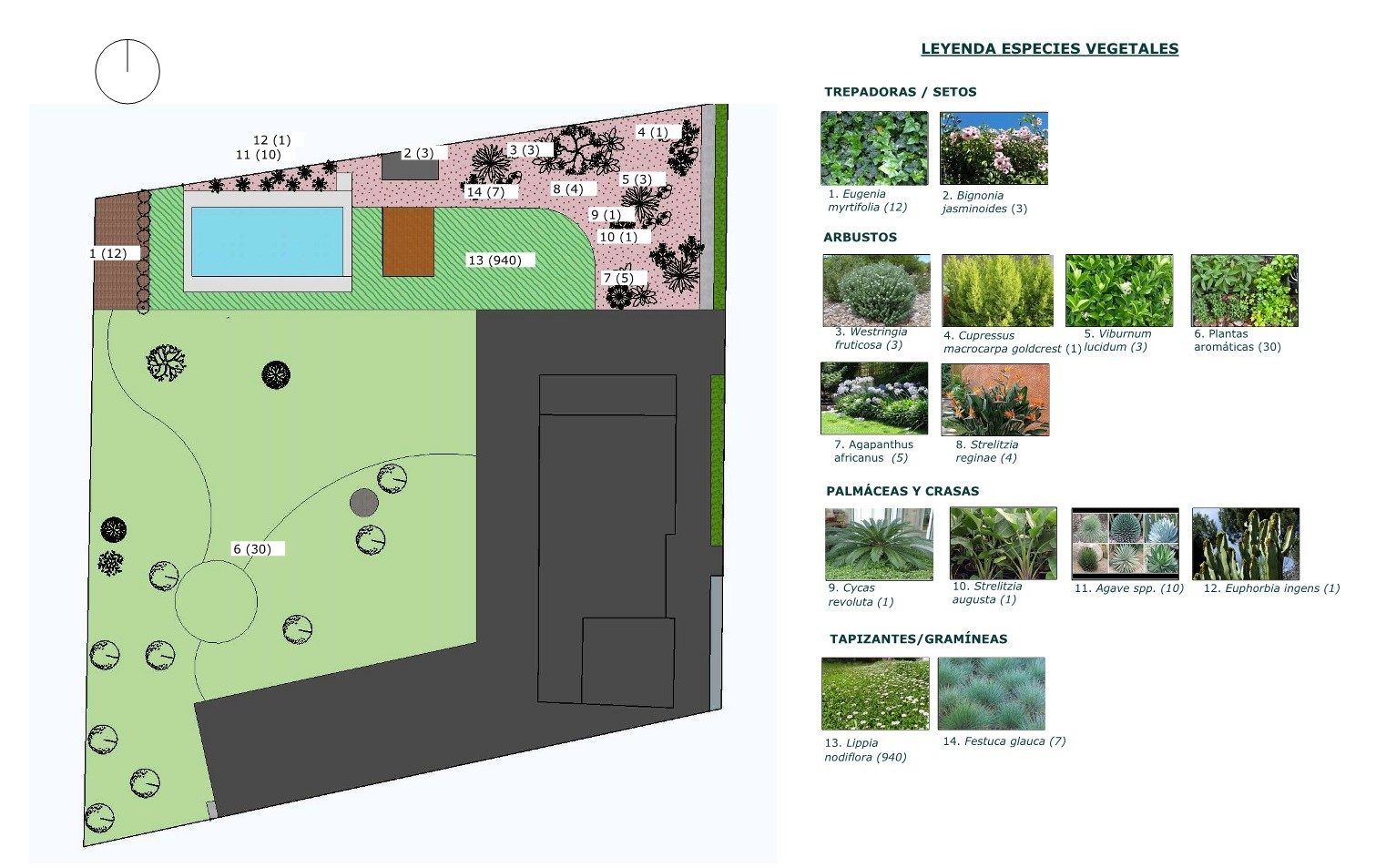 Documentación técnica de un proyecto de paisajismo de Verde Consciente