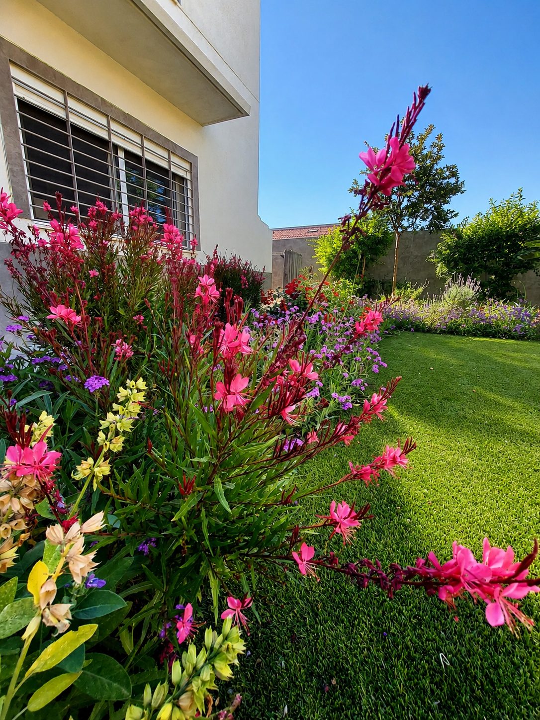 Jardín diseñado y ejecutado por Verde Consciente
