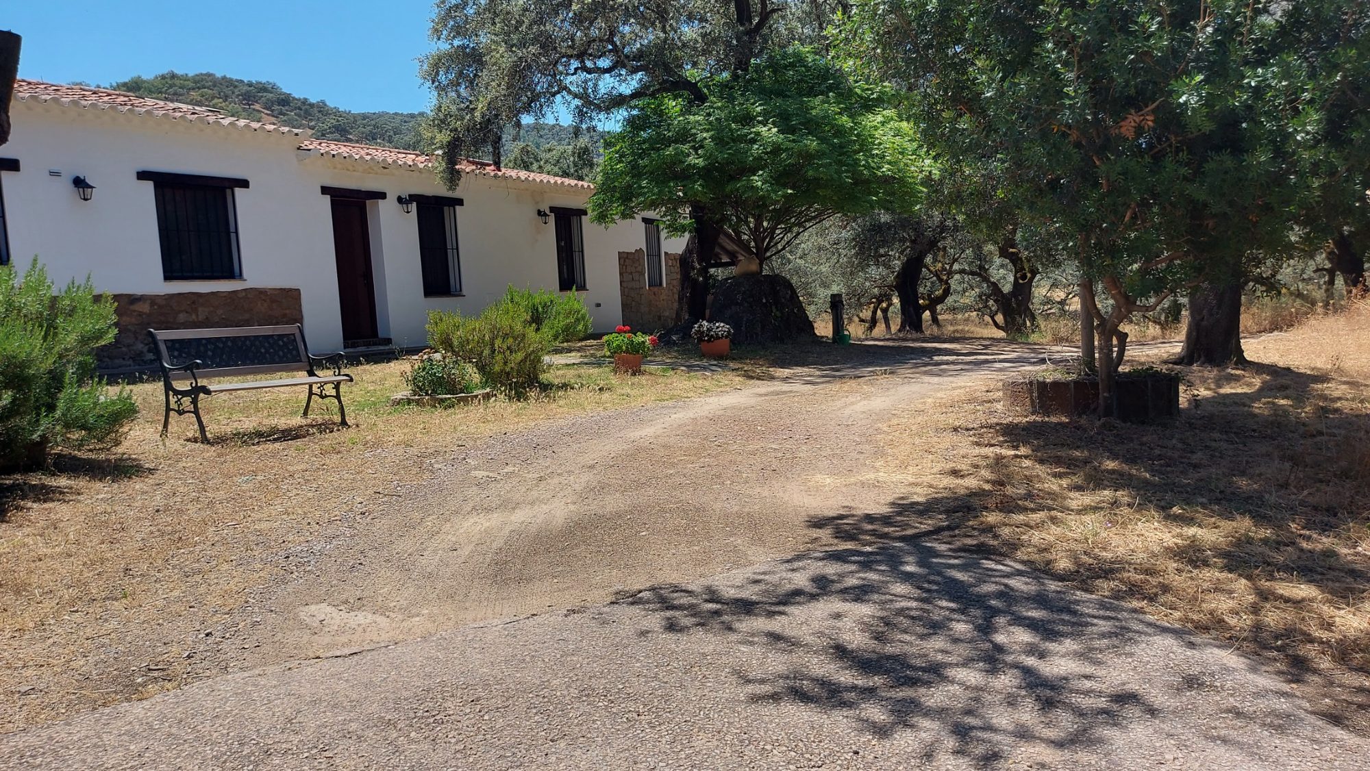 Paisajismo de la Casa Rural Arroyo de la Jara · Almonaster la Real, Huelva (imagen 1)
